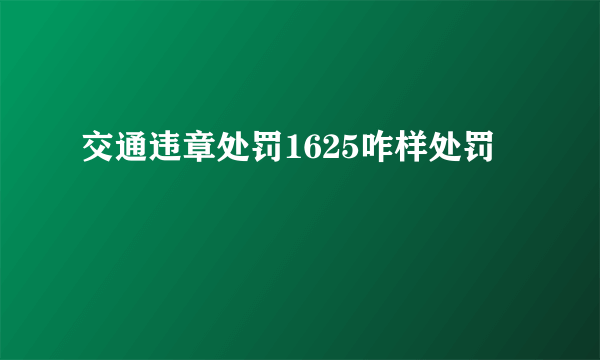 交通违章处罚1625咋样处罚