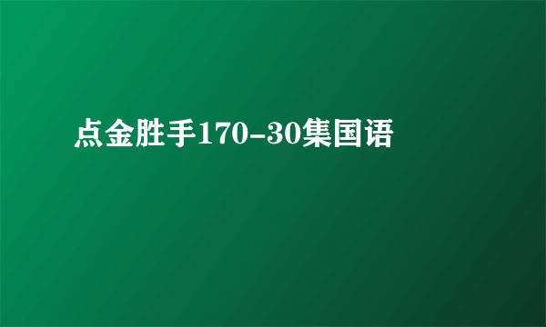 点金胜手170-30集国语