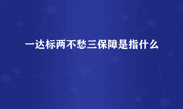 一达标两不愁三保障是指什么