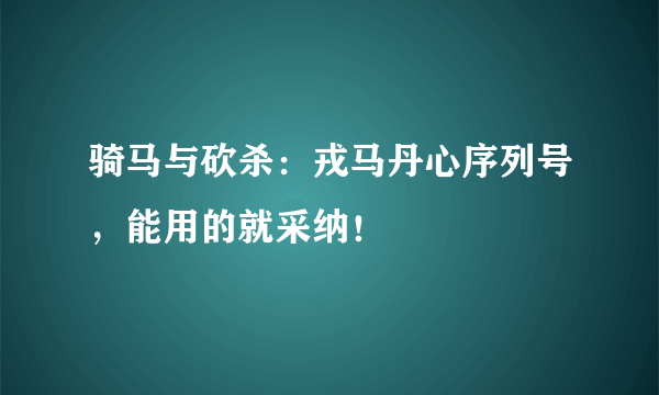 骑马与砍杀：戎马丹心序列号，能用的就采纳！