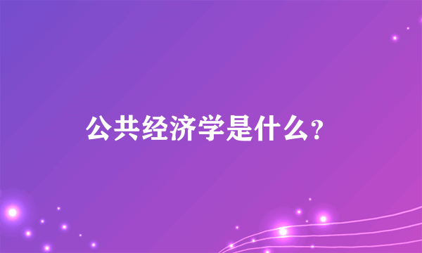 公共经济学是什么？