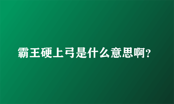 霸王硬上弓是什么意思啊？