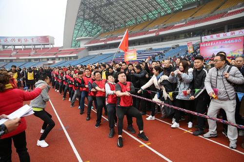 公司团建活动有哪些项目？