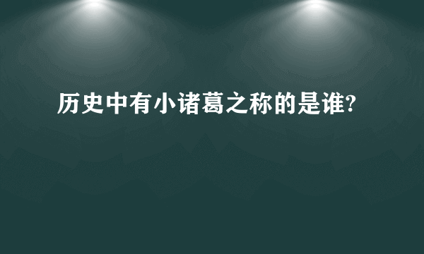 历史中有小诸葛之称的是谁?