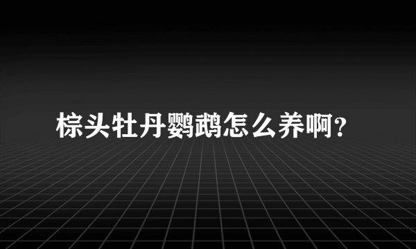 棕头牡丹鹦鹉怎么养啊？