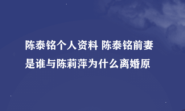 陈泰铭个人资料 陈泰铭前妻是谁与陈莉萍为什么离婚原