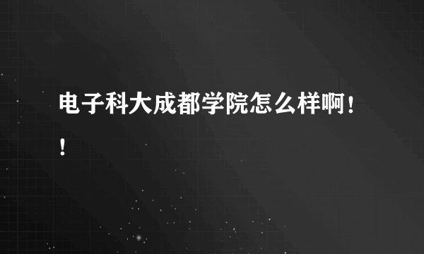 电子科大成都学院怎么样啊！！