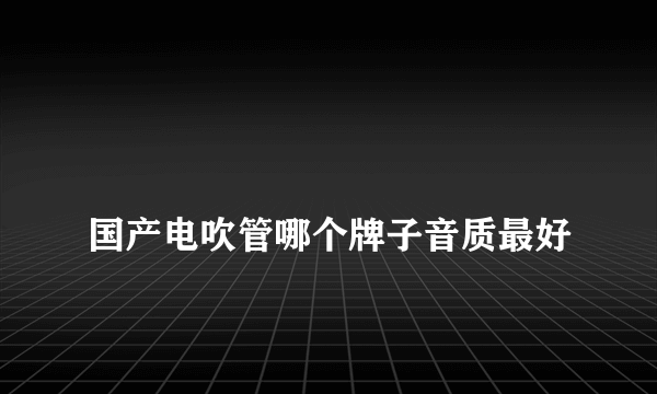 
国产电吹管哪个牌子音质最好

