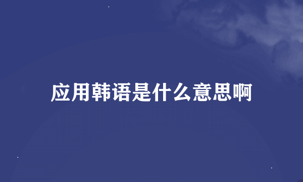 应用韩语是什么意思啊