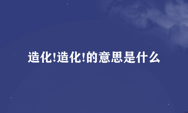 造化!造化!的意思是什么