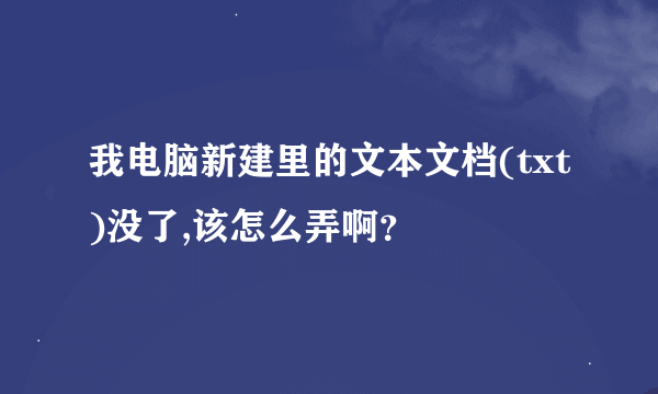 我电脑新建里的文本文档(txt)没了,该怎么弄啊？