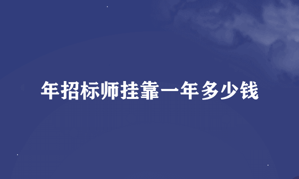 年招标师挂靠一年多少钱