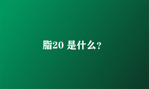 脂20 是什么？