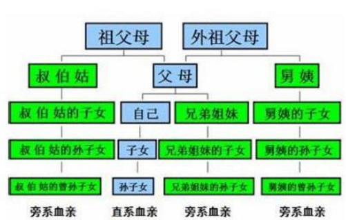 直系亲属与旁系亲属怎么区分？谢谢！