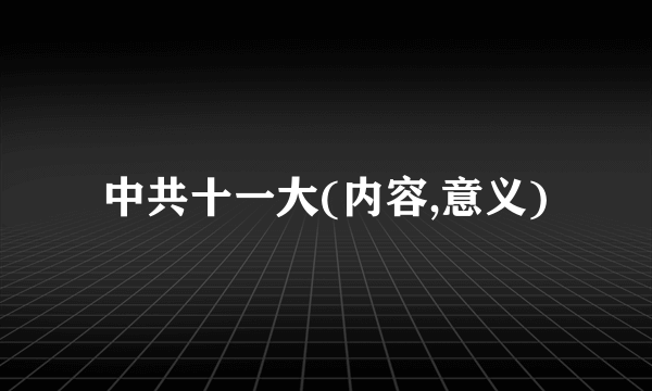 中共十一大(内容,意义)