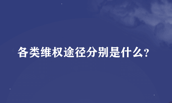 各类维权途径分别是什么？