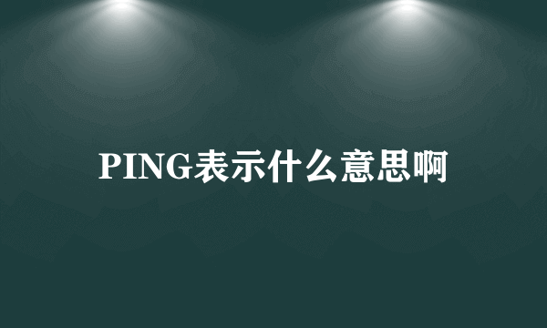 PING表示什么意思啊