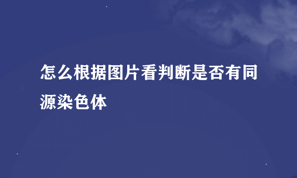 怎么根据图片看判断是否有同源染色体