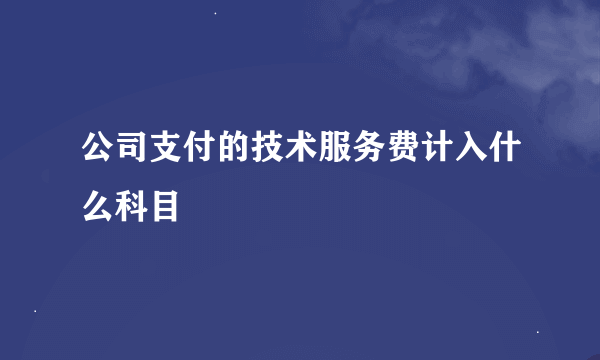 公司支付的技术服务费计入什么科目