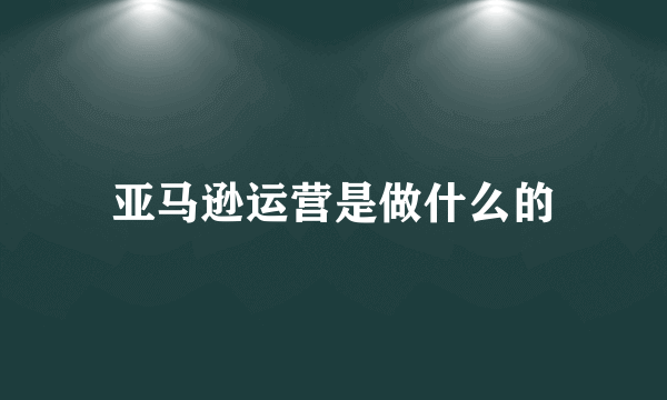 亚马逊运营是做什么的