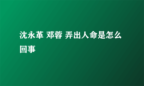 沈永革 邓蓉 弄出人命是怎么回事