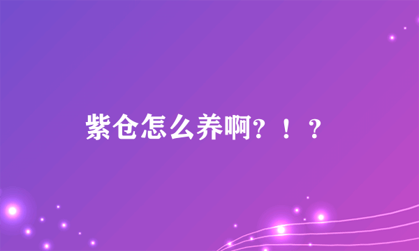 紫仓怎么养啊？！？