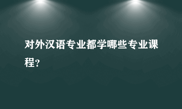 对外汉语专业都学哪些专业课程？