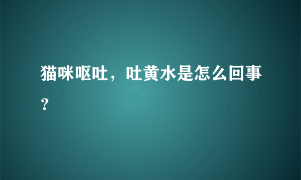 猫咪呕吐，吐黄水是怎么回事？