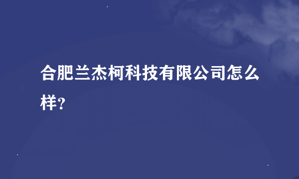 合肥兰杰柯科技有限公司怎么样？