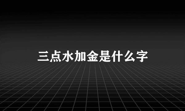 三点水加金是什么字