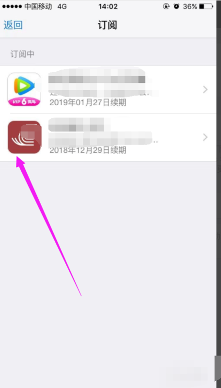 如何取消apple ID的自动订阅