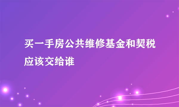 买一手房公共维修基金和契税应该交给谁