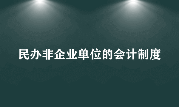 民办非企业单位的会计制度