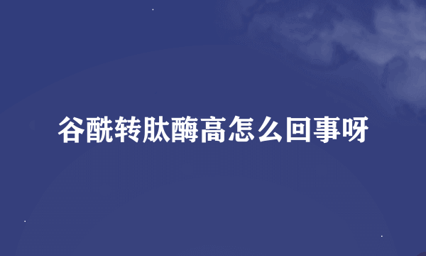 谷酰转肽酶高怎么回事呀