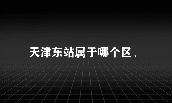 天津东站属于哪个区、