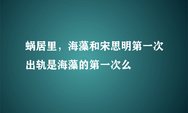 蜗居里，海藻和宋思明第一次出轨是海藻的第一次么