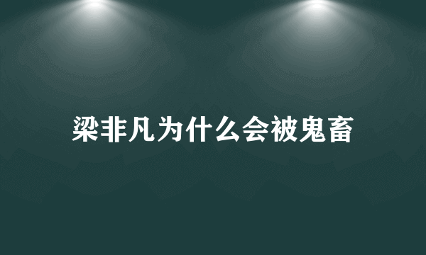 梁非凡为什么会被鬼畜