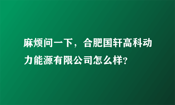 麻烦问一下，合肥国轩高科动力能源有限公司怎么样？