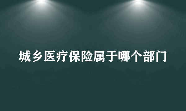 城乡医疗保险属于哪个部门