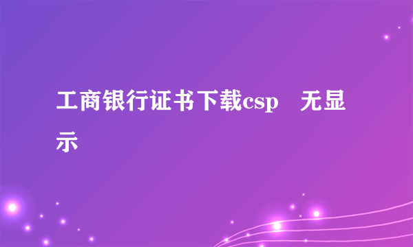 工商银行证书下载csp   无显示