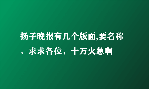 扬子晚报有几个版面,要名称，求求各位，十万火急啊