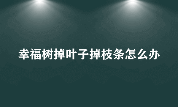 幸福树掉叶子掉枝条怎么办