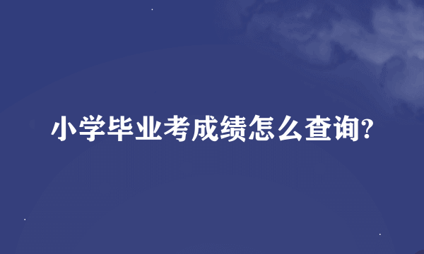 小学毕业考成绩怎么查询?