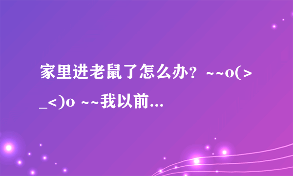 家里进老鼠了怎么办？~~o(>_<)o ~~我以前在家从没见过老鼠。怎样能把它赶出去呀？？?