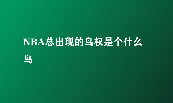 NBA总出现的鸟权是个什么鸟