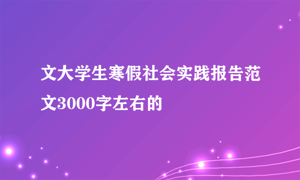 文大学生寒假社会实践报告范文3000字左右的