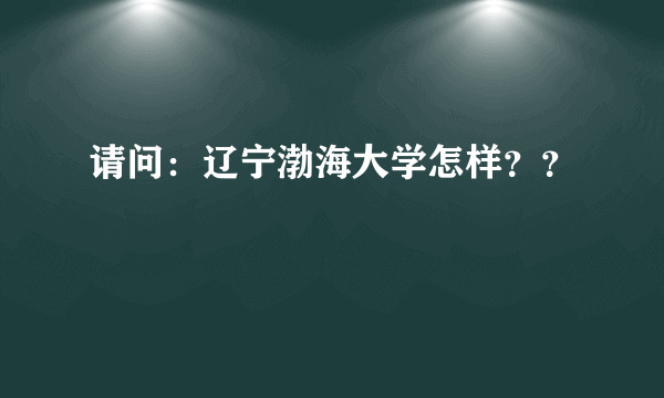 请问：辽宁渤海大学怎样？？