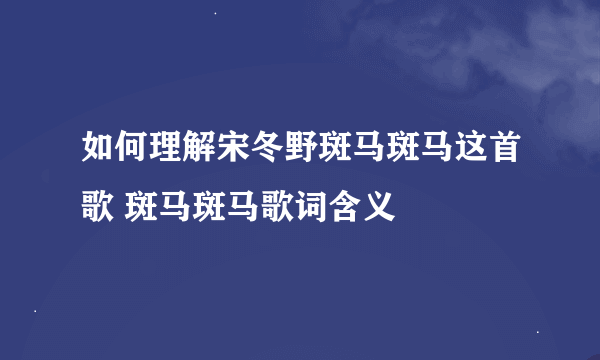 如何理解宋冬野斑马斑马这首歌 斑马斑马歌词含义