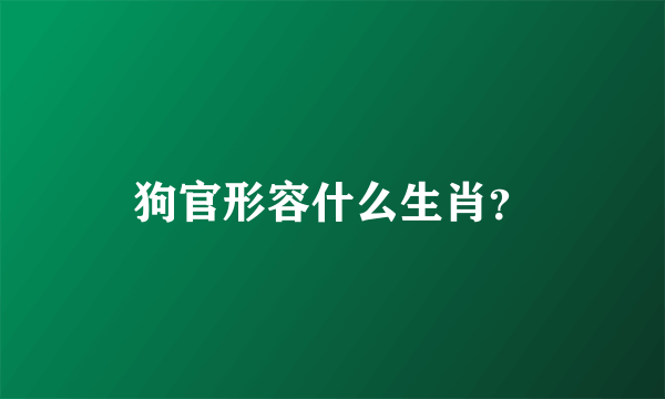 狗官形容什么生肖？