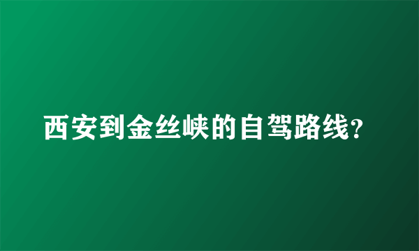 西安到金丝峡的自驾路线？